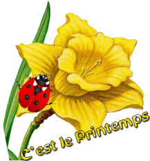 Gifs Printemps (80) | GIFS Gratuits PJC