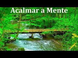 Música relaxante para acalmar a mente e relaxar profundamente. Bolos Musica Para Meditar E Relaxar Com Sons De Riacho E Natureza Acalmar Os Pensamentos