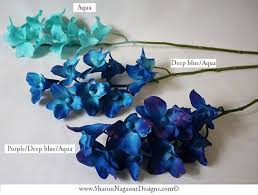 The size is ideal for those looking for a compact yet striking. Diy Wedding Flowers Bride Bouquet Blue Galaxy Orchids Blue Purple Aqua Ivory Dendrobium Diy Wedding Flowers Purple Wedding Bouquets Blue Wedding Bouquet