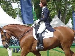 We are very happy that our beautiful trakehner premium stallion karim dor é will be available to breeders via our eu station on monday 17. Dressur Unser Reiter Team Fur Die Olympischen Spiele In London 2012 Will Reiten De