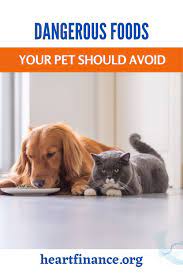 Pet assistance for low income families near me. Pin On Pet Assistance For Low Income Families