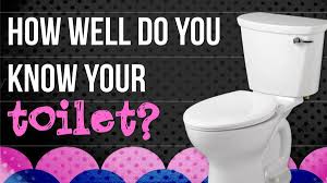 Whether you have a science buff or a harry potter fa. Toilet Trivia Game Games Download Youth Ministry