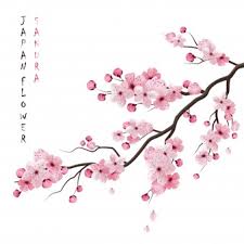 The clip art image is transparent background and png format which can be easily used for any free creative project. Cherry Blossom Images Free Vectors Stock Photos Psd