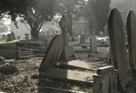 Hustler Video Wraps This Aint the Munsters XXX | AVN