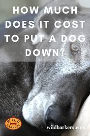 Poor quality of life as a dog ages, he may lose control of his body. How Much Does It Cost To Put A Dog Down Putting Dog To Sleep Dogs Your Dog