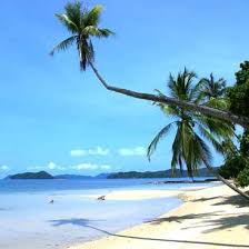 Hours may change under current circumstances Help At Our Ngo And Animal Clinic In A Tranquil Island In Thailand Trat
