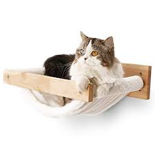 There are several different types of cat hammocks to choose from, depending on your and your cat's preferences. New Moon Cat Swing Chair Kitty Hammock Bed Fukumaru Cat Hammock Cat Furniture Gift For Your Small To Medium Size Cat Or Toy Dog Beds Furniture Beds Sofas Ilsr Org