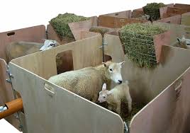 Shearwell Data Pen Sides And Hay Racks Lambing Time Must To Keep Those Ewes And Lambs Together Http Www Shearwel Hayvan Barinagi Hayvan Barinaklari Keciler