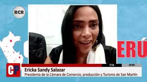 SI NO ENFRENTAMOS LA MINERÍA Y LA TALA ILEGAL VAMOS A PERDER A LA AMAZONÍA 