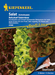 Shop schnittpetersilie, petersilie, bravour, saatband, petersilie. Salat Schnittsalat Babyleaf Mhd 01 23 Salatwiese Saatband Kiepenkerl 2396