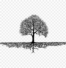 Maybe you would like to learn more about one of these? Roots Branches Family Tree Roots Png Image With Transparent Background Toppng