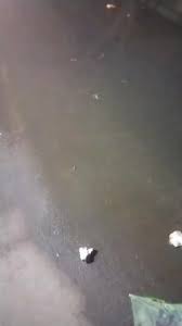 देवास : मेन रोड पर बह रहा नाला, प्रशासन बेखबर