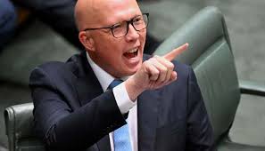 Politics and property