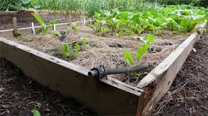 Attach all of your drip tape on off valves. How To Irrigate Raised Garden Beds