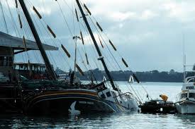 greenpeace nz