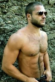 Related posts of muscles of the torso diagram muscle anatomy of the neck. Shirtless Male Muscular Hairy Chest Abs Beard Beefcake Hunk Jock Photo 4x6 C1 Ebay