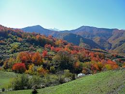 223,522 likes · 8,778 talking about this. Abruzzo Wikidata