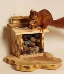 Futterhaus Eichhornchen Hilfe Dorsten Eichhornchen Futterhaus Futterhaus Eichhornchen