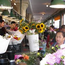 Check spelling or type a new query. China The Cost Of Cheaper Cut Roses Flowerlink