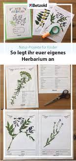 Herbarium specimens and their data are, for the most part, verifiable, repeatable, sustainable, and persistent information on plant diversity and databasing and publishing herbarium label information is becoming and essetial resource for systematic research, biogeography, ethnobiology and ecology. Herbarium Anlegen Tipps Vorlagen Herbarium Vorlage Deckblatt Erstellen Schulideen