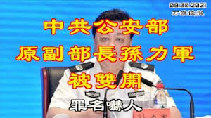 孙力军- 万维读者网