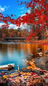 We did not find results for: Fall Wallpaper Iphone Awesome Wallpaper Iphone Images Beautiful Wallpaper For Phone 1080x1920 Download Hd Wallpaper Wallpapertip