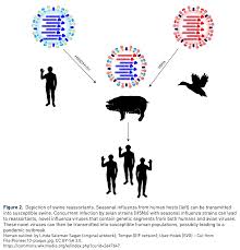 Are now feeling well, said the head of russia's. The Next Covid Should We Fear The Global Spread Of H5n8 Bird Flu American Council On Science And Health