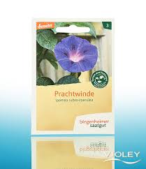 Grommets every 12 for wind protection. Bingenheimer Saatgut Seeds Of Organic Morning Glory Natural Products Shop Violey
