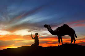 Operating in arab villages of the south country, n.e. 405 Silhouette Man Camel Sunset Photos Free Royalty Free Stock Photos From Dreamstime