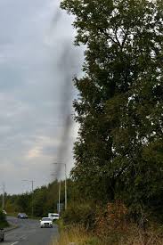 Scott sweeney filmed this cloud of midges while out with his dog near his home in inveraray, argyll. Midge Swarm In Cockermouth Times And Star