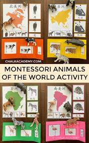 All of our free printables are available on the member's only page. Montessori Animals And Continents Activities Chinese Korean English