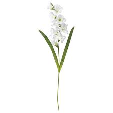 We did not find results for: Smycka Artificial Flower Gladiolus White Ikea
