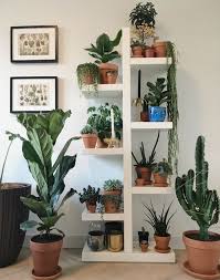 Indoor Plants Indoor Plants Decoration House Plants Mini Gardens Low Light Plants Ideas Plant Decor Houseplants Indoor House Plants Indoor