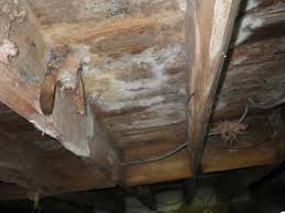 Check spelling or type a new query. What Is That Smell Coming From My Crawl Space Total Home Performance Crawl Space Encapsulations Easton Maryland Md