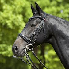Kieffer Ulla Ii Bridle Artisan Tack