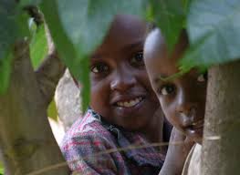 Joanne's Review On The Great Gorilla Project