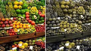 We did not find results for: University And Biotech Firm Team Up On Colorblindness Therapy Shots Health News Npr