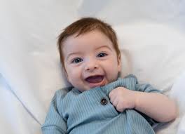 Lively Photography portfolio website