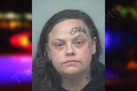 Amy Ramirez — Gwinnett County Jail Bookings