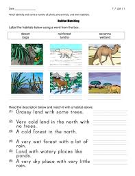 habitat matching worksheets differentiated year 2 key stage 1 science teaching resources