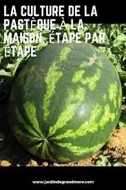 Epingle Sur Jardin