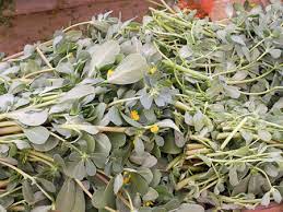 It is also thought to be helpful as a relief for skin problems such as boils and eczema. A Taste Of Summer Purslane Salad With Cherry Tomatoes Meqteh Spring Onions Anissa S Blog