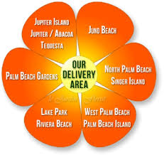 Maybe you would like to learn more about one of these? Flower Delivery Area Le Jardin Florist 561 627 8118