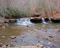 Camp creek state park was formed from camp creek state forest in 1987, when a tract of approximately 550 acres was set aside to create this still adjacent to the park lies camp creek state forest. Camp Creek State Forest A West Virginia State Forest Located Near Bluefield Princeton