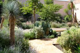 Pin On Companion Planting