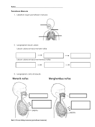 Proses hidup manusia unit 4 : Sains Tahun 4 Manusia Lessons Blendspace