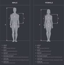 Workwear And Safety Clothing Sizing Guide Ballyclare Limited