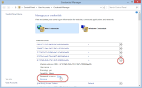 Manage all your passwords in one place. How To Retrieve Passwords Stored In Windows With Powershell Todd Klindt S Office 365 Admin Blog