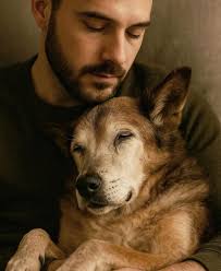 pour les amis des animaux