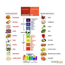 Ph Test Strips Tests Body Ph Levels For Alkaline Acid Levels Using Saliva And Urine Track And